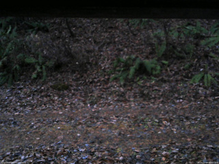 長野県菅平高原 ゆたか山荘 南側 2025/11/18 06:15