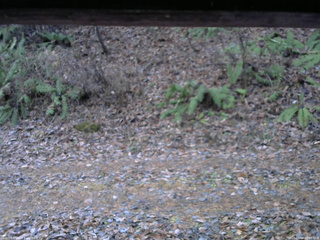 長野県菅平高原 ゆたか山荘 南側 2025/11/18 06:30
