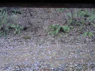 長野県菅平高原 ゆたか山荘 南側 2025/11/18 06:45