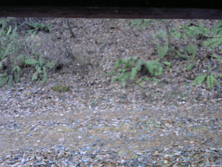 長野県菅平高原 ゆたか山荘 南側 2025/11/18 07:00