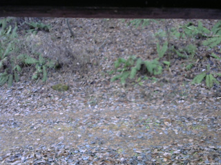 長野県菅平高原 ゆたか山荘 南側 2025/11/18 07:15