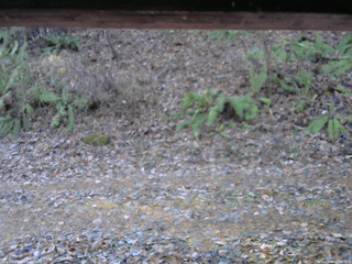 長野県菅平高原 ゆたか山荘 南側 2025/11/18 07:30