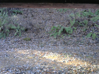 長野県菅平高原 ゆたか山荘 南側 2025/11/18 07:45