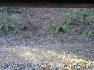 長野県菅平高原 ゆたか山荘 南側 2025/11/18 08:00