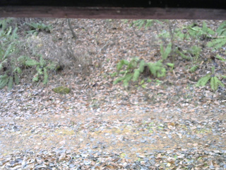 長野県菅平高原 ゆたか山荘 南側 2025/11/18 08:15