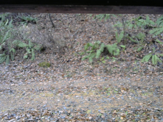 長野県菅平高原 ゆたか山荘 南側 2025/11/18 08:30