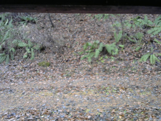 長野県菅平高原 ゆたか山荘 南側 2025/11/18 08:45