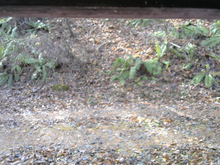 長野県菅平高原 ゆたか山荘 南側 2025/11/18 09:15