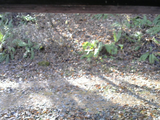 長野県菅平高原 ゆたか山荘 南側 2025/11/18 09:30