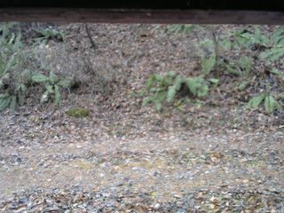 長野県菅平高原 ゆたか山荘 南側 2025/11/18 09:45