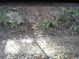 長野県菅平高原 ゆたか山荘 南側 2025/11/18 10:15