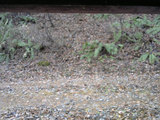 長野県菅平高原 ゆたか山荘 南側 2025/11/18 10:30