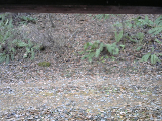 長野県菅平高原 ゆたか山荘 南側 2025/11/18 11:00