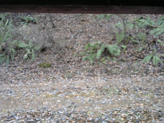 長野県菅平高原 ゆたか山荘 南側 2025/11/18 11:15