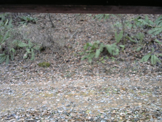 長野県菅平高原 ゆたか山荘 南側 2025/11/18 11:30