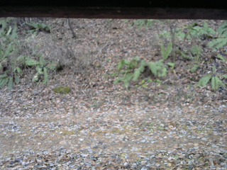 長野県菅平高原 ゆたか山荘 南側 2025/11/18 11:45