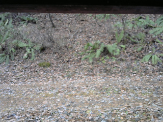 長野県菅平高原 ゆたか山荘 南側 2025/11/18 12:00