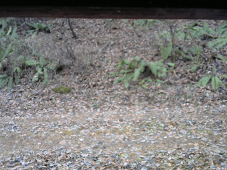 長野県菅平高原 ゆたか山荘 南側 2025/11/18 12:15