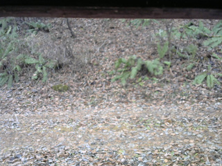 長野県菅平高原 ゆたか山荘 南側 2025/11/18 12:30