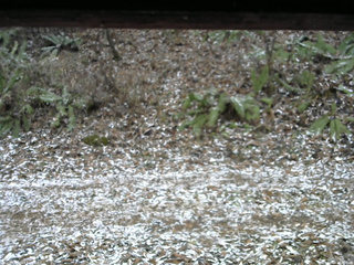 長野県菅平高原 ゆたか山荘 南側 2025/11/18 12:45