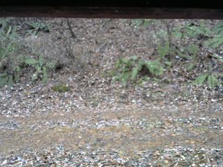 長野県菅平高原 ゆたか山荘 南側 2025/11/18 13:00