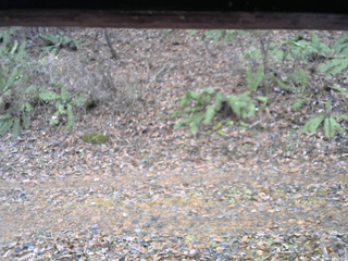 長野県菅平高原 ゆたか山荘 南側 2025/11/18 13:15