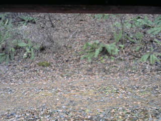 長野県菅平高原 ゆたか山荘 南側 2025/11/18 13:30