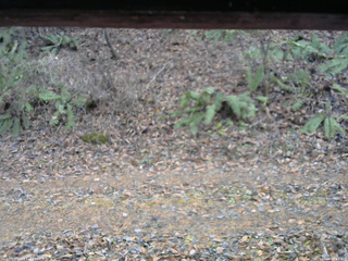 長野県菅平高原 ゆたか山荘 南側 2025/11/18 13:45