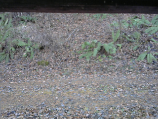 長野県菅平高原 ゆたか山荘 南側 2025/11/18 14:00
