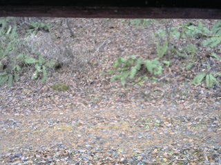 長野県菅平高原 ゆたか山荘 南側 2025/11/18 14:15