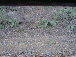 長野県菅平高原 ゆたか山荘 南側 2025/11/18 14:30