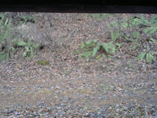 長野県菅平高原 ゆたか山荘 南側 2025/11/18 15:15