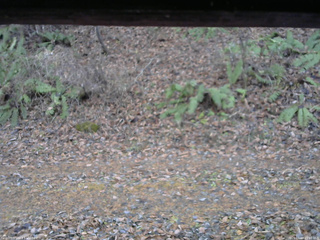 長野県菅平高原 ゆたか山荘 南側 2025/11/18 15:30