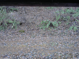 長野県菅平高原 ゆたか山荘 南側 2025/11/18 15:45