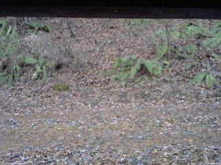 長野県菅平高原 ゆたか山荘 南側 2025/11/18 16:00