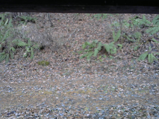 長野県菅平高原 ゆたか山荘 南側 2025/11/18 16:15