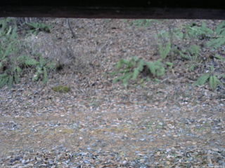 長野県菅平高原 ゆたか山荘 南側 2025/11/18 16:30