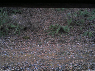 長野県菅平高原 ゆたか山荘 南側 2025/11/18 16:45