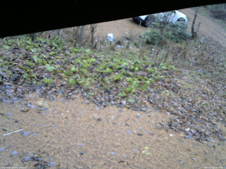 長野県菅平高原 ゆたか山荘 駐車場 2025/11/18 08:45