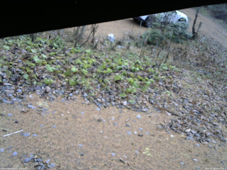 長野県菅平高原 ゆたか山荘 駐車場 2025/11/18 09:45