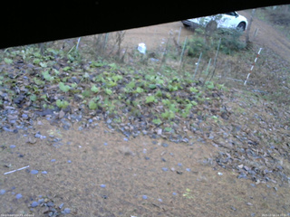 長野県菅平高原 ゆたか山荘 駐車場 2025/11/18 14:30