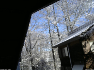 長野県菅平高原 ゆたか山荘 北側 2025/11/19 09:30