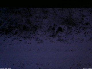 長野県菅平高原 ゆたか山荘 南側 2025/11/19 06:00