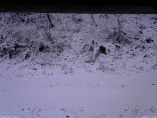 長野県菅平高原 ゆたか山荘 南側 2025/11/19 06:15