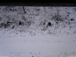 長野県菅平高原 ゆたか山荘 南側 2025/11/19 06:30