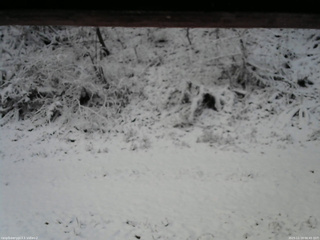 長野県菅平高原 ゆたか山荘 南側 2025/11/19 06:45