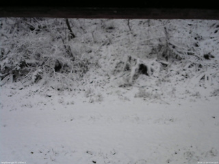 長野県菅平高原 ゆたか山荘 南側 2025/11/19 07:00