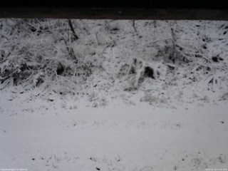 長野県菅平高原 ゆたか山荘 南側 2025/11/19 07:15