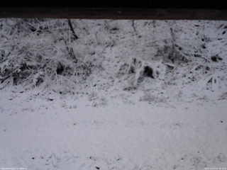 長野県菅平高原 ゆたか山荘 南側 2025/11/19 07:30