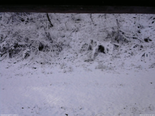 長野県菅平高原 ゆたか山荘 南側 2025/11/19 07:45